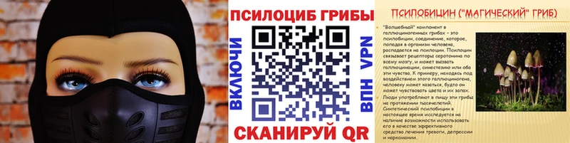 Галлюциногенные грибы мухоморы  shop какой сайт  Химки 